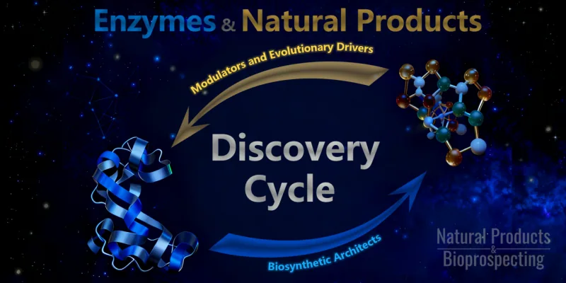 A Systems Perspective on Biological Cycles and Resilience