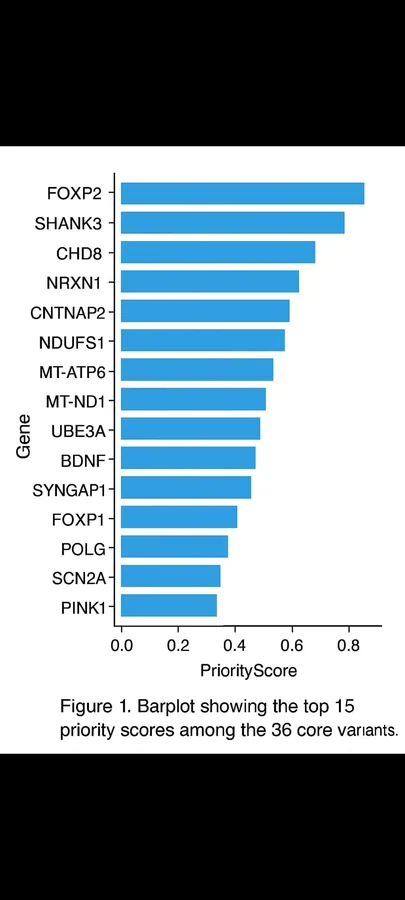 Convergent energy–information networks in neurodevelopment: the ISHEA-TACC analysis