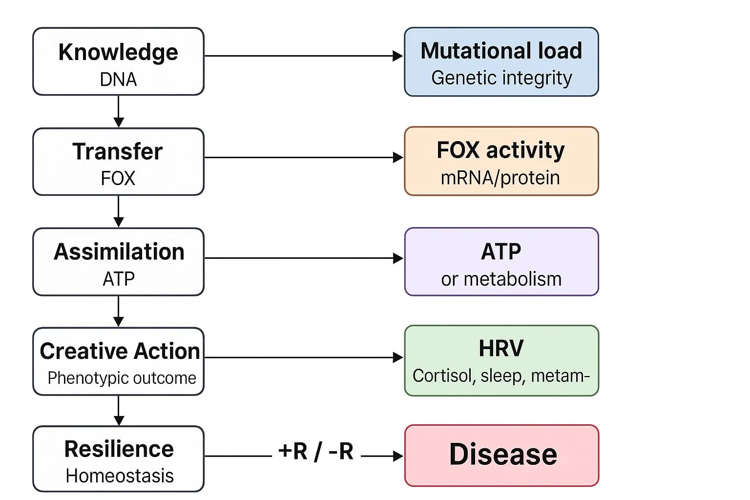 Figura 4 di 4 — Convergenza Cambridge 2025: 36 varianti, ATP, cortisolo e FOXP2