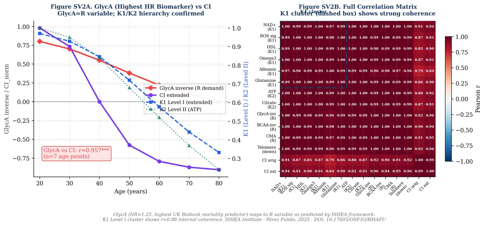 Figura 9 di 9 — Vincolo energetico cellulare come principio unificante dell'invecchiamento: quadro ISHEA Δ±1