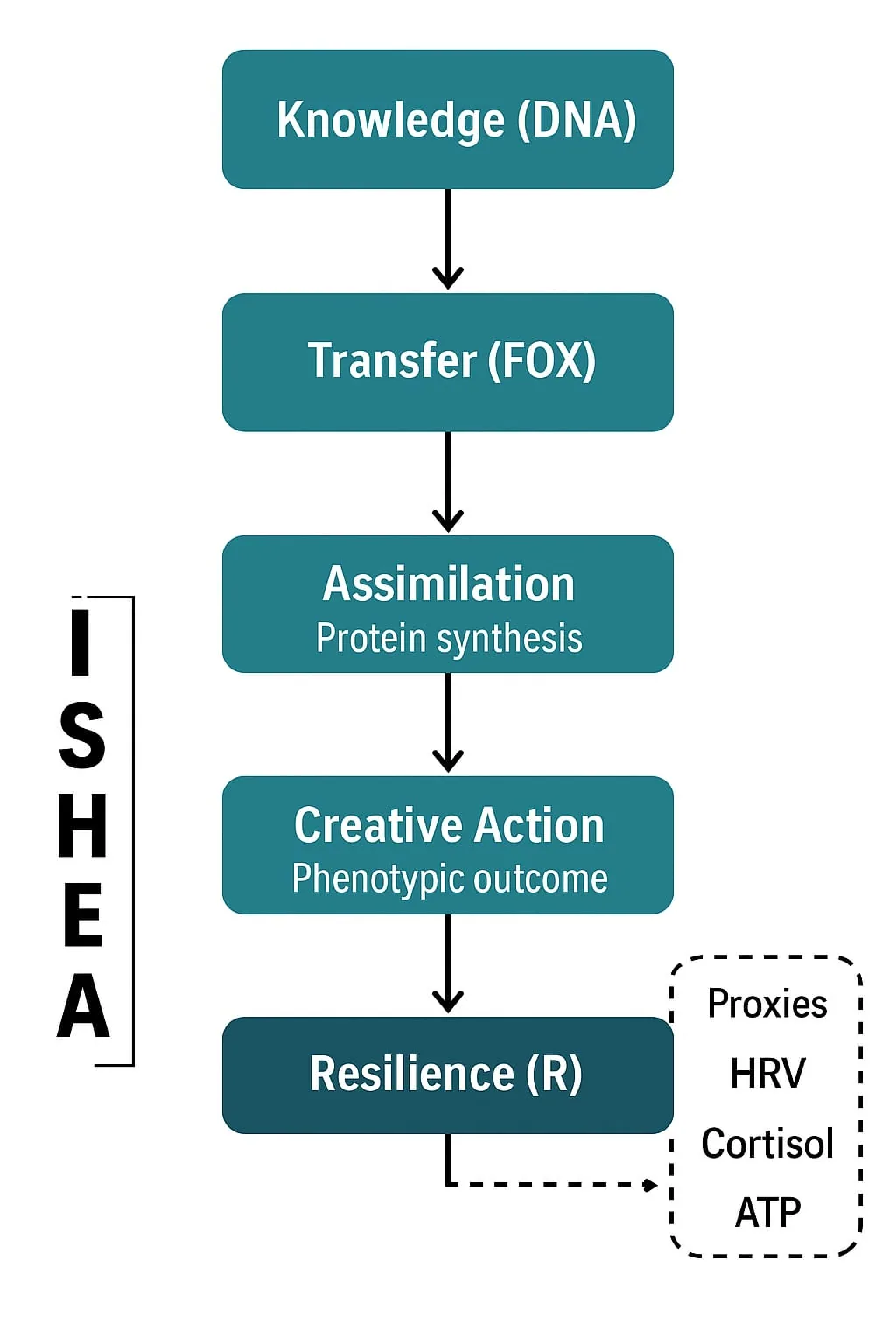 Figura 4 de 4 — Organización Sistémica de Fidelidad: el eje FOXP–ATP–cortisol