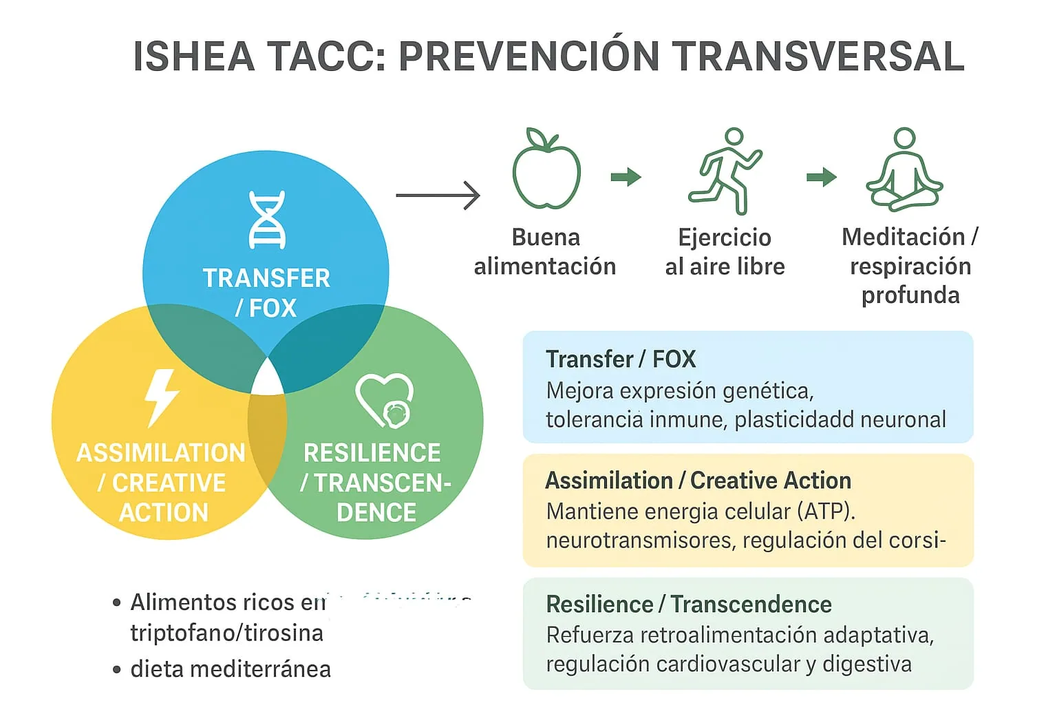 Figura 1 — Organización Sistémica de Fidelidad: el eje FOXP–ATP–cortisol